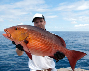 Deep Sea Fishing Charter Miami