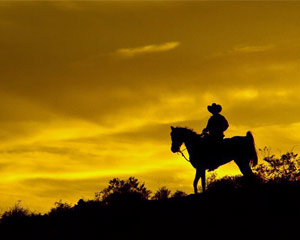 Horseback Riding