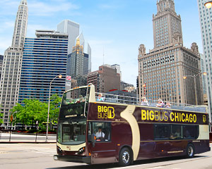 chicago downtown tour bus