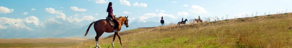 Horseback Riding Near Me, Horseback Riding, Trail Rides