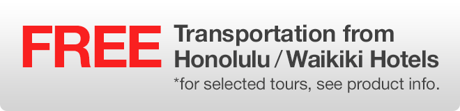 Free Transportation from hotels on selected tours